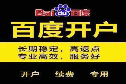 百度竞价竞争分析：实战案例与应对策略